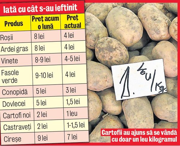 IAR AM AVUT DREPTATE! Preţurile la legume s-au înjumătăţit într-o lună!