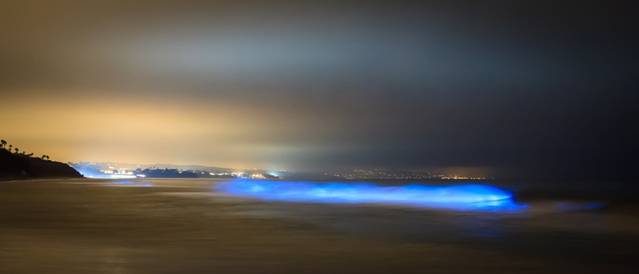 Fenomen extraordinar la malul marii