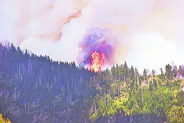 Pădurile din Maramureş sunt pârjolite din cauza arşiţei