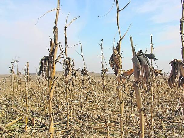 Scumpirea euro şi seceta ne vor arde la buzunare