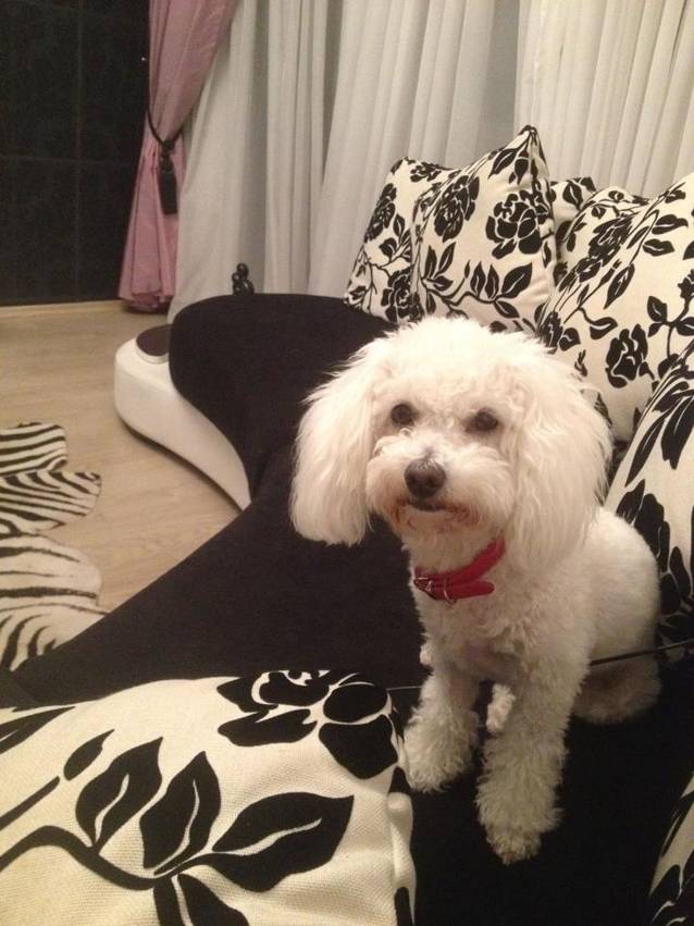 Adelina Pestriţu ŞOCHEAZĂ: "Ea e cea mai fidelă iubire!". Vezi despre cine vorbeşte