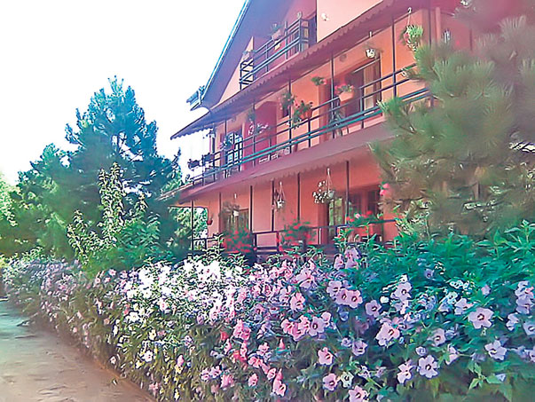 Zina Dumitrescu mutată de fiu într-un azil de fiţe! Vezi cât plătește lunar!