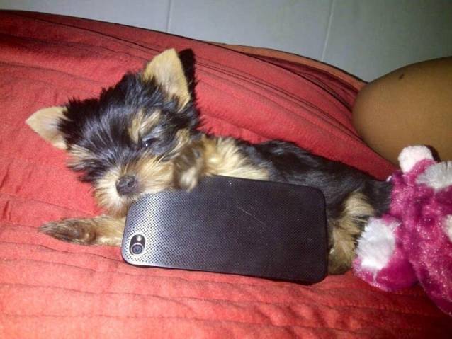 Bianca e pur şi simplu ÎNDRĂGOSTITĂ! Uite cine îi încălzeşte patul acum | FOTO