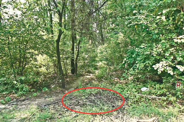 Asasinul japonezei e analfabet!