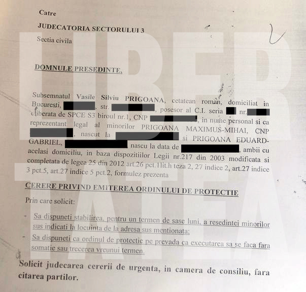 EXCLUSIV | Plângerea lui Prigoană împotriva Adrianei Bahmuţeanu. Află TOT ce reclamă afaceristul!