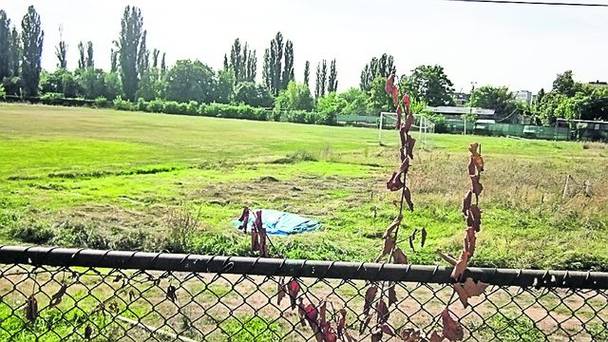 Ilie Năstase şi Brigitte Sfăt, logodnica lui, muncesc zi-lumină pentru ca viitoarea Academie de Tenis Ilie Năstase să prindă viaţă