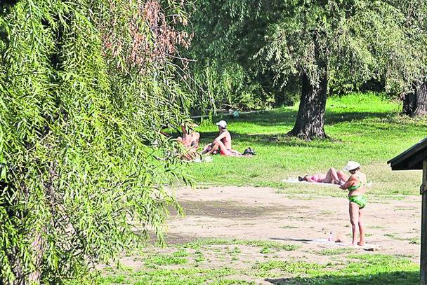 Vedetele au ieşit la cros în parc