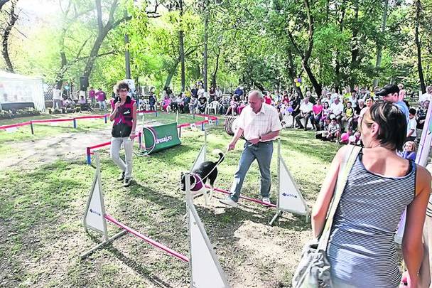 Vedetele au ieşit la cros în parc