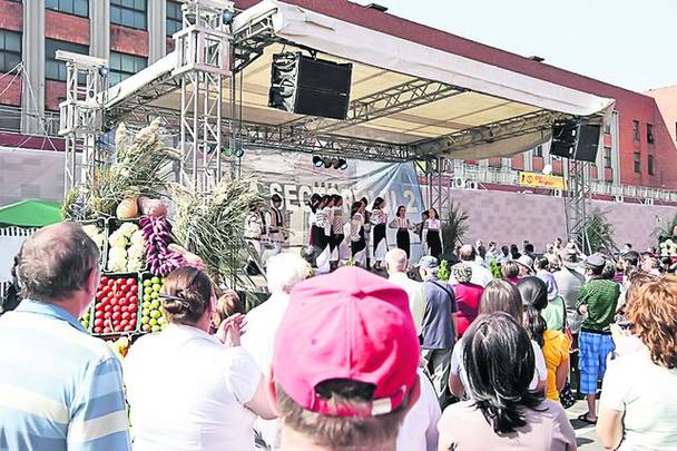 Vedetele au ieşit la cros în parc