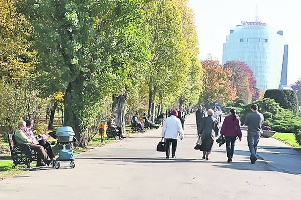 Vedetele au ieşit la cros în parc