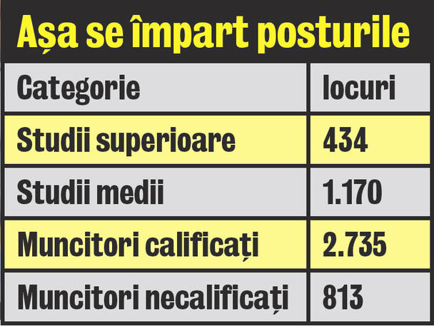 «Au zis că mă sună, chiar dacă n-am Bac-ul»