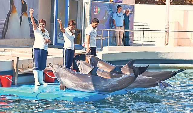 De la anul, o să înotăm cu delfinii la Constanţa