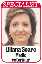 Pregătește-ți câinele pentru sezonul rece