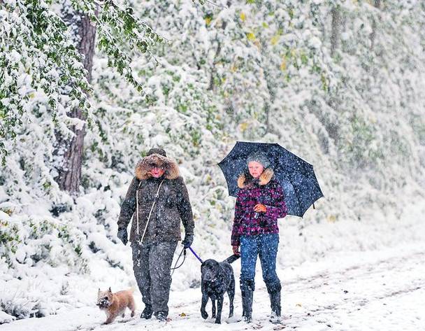 Elveţia. În ultimele trei zile a nins încontinuu