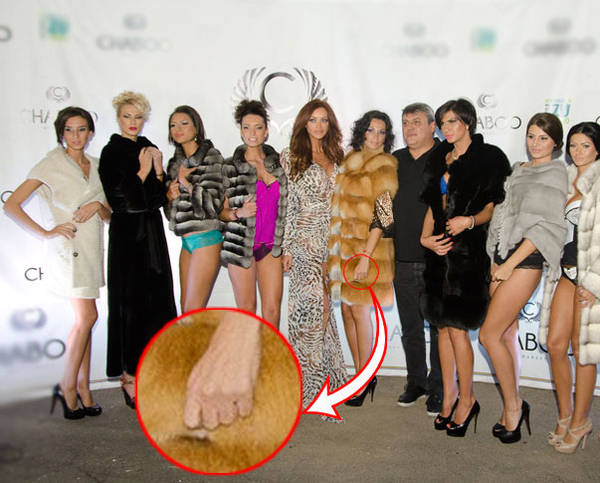 E CLAR. NICOLETA LUCIU NU l-a iertat pe ZSOLT CSERGO. A ieşit în public FĂRĂ VERIGHETĂ | DOVADA FOTO, în articol