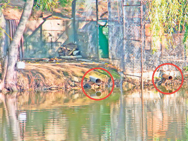 «Bombă ecologică» în paradisul bogaţilor | Lacul Corbeanca, în jurul căruia zeci de VIP-uri au vile de lux, este plin de... rahat
