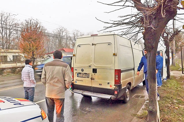 Cruzime ieşită din comun: au îngrămădit 80 de câini într-o dubă! FOTO