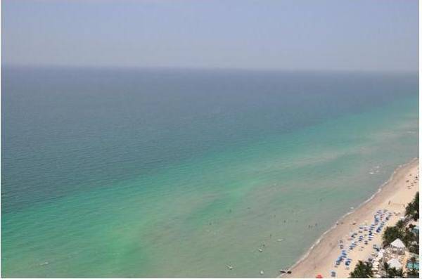 CRISTI BORCEA vinde CASA din MIAMI!  SUPERBA locuinţă, în 14 IMAGINI fabuloase | GALERIE