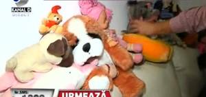 jucarii alina