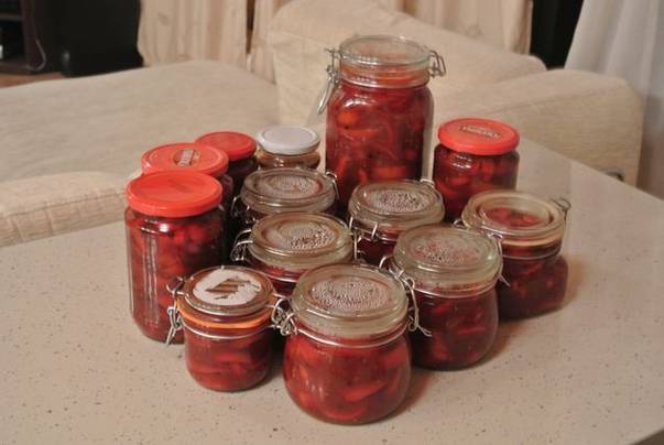 Andreea Ibacka recomandă gogoșarii murați în sos tomat dulce acrișor | FOTO& REȚETA