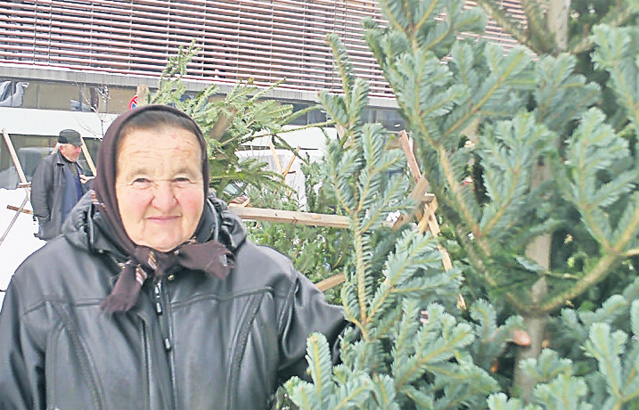 "Nu vă înghesuiţi la brazii din import". Specialiştii spun că cei autohtoni vor fi mult mai accesibili