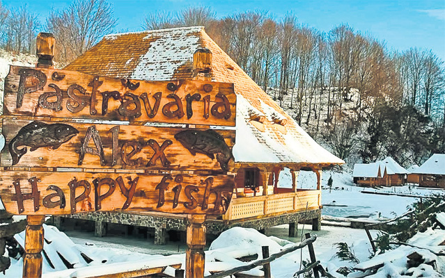 Telenovela Ciprian Marica - Ilinca Vandici continuă: S-au împăcat de Crăciun