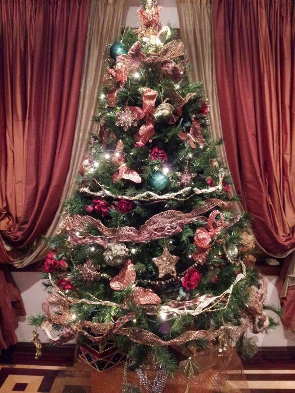 Așa arată bradul Annei Lesko