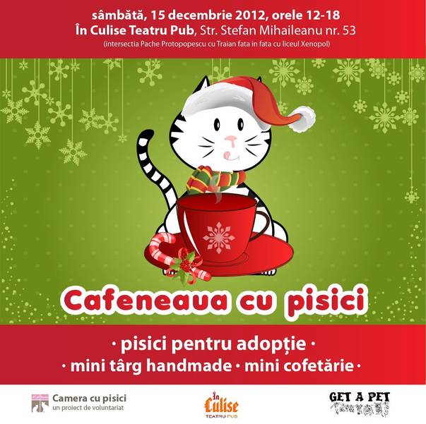 CAFENEAUA CU PISICI, cel mai tare eveniment pentru iubitorii de animale