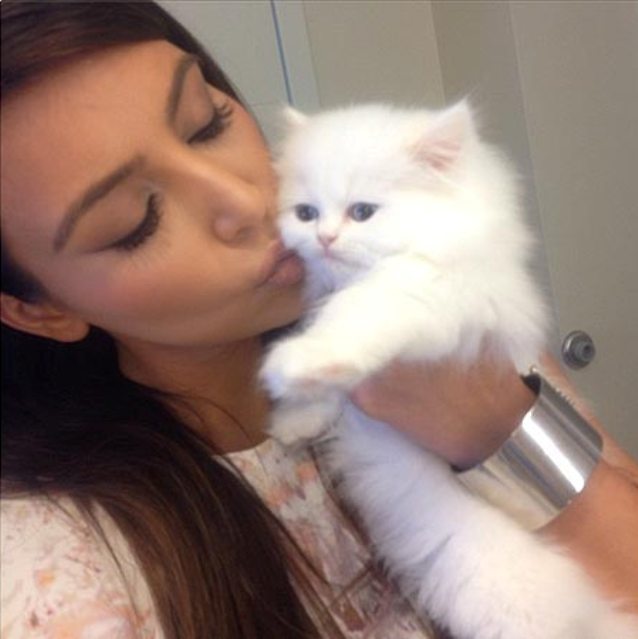 kim kardashian pisica