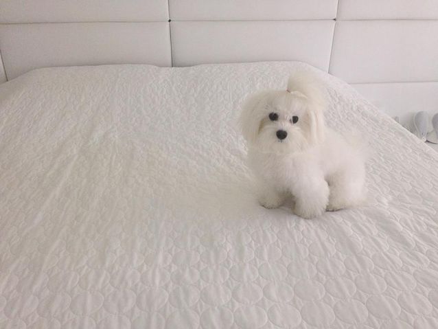 Anda Adam DEZVĂLUIE cine i-a luat locul în pat lui Victor Slav 