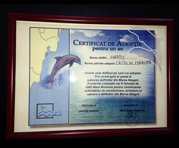 Cătălin Măruță a devenit părinte adoptiv