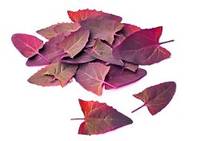 Alimente-miracol de primăvară