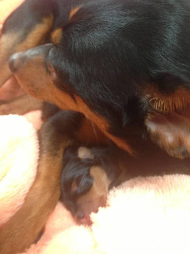 Loredana, fericită: "Avem un băiețel!". Uite cum arată noul membru al familiei!