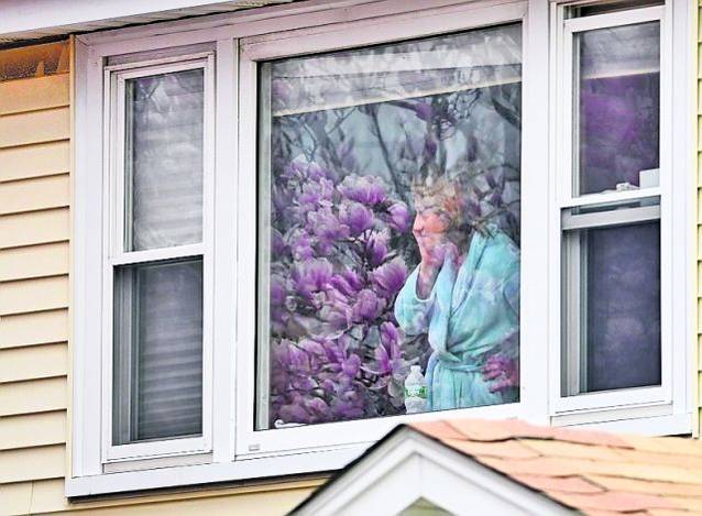 Doi fraţi ceceni, vânaţi pentru atentatele din Boston 