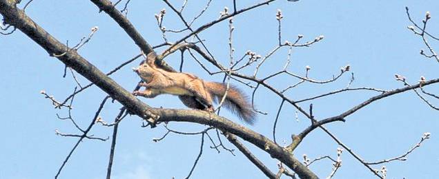 Maşina asta are două viteze: ţestoasă şi iepure