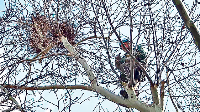 România, ţara tuturor posibilităţilor! Au vopsit… gropile din asfalt!