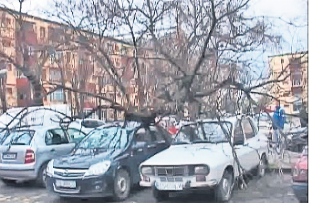 Apele şi vântul fac prăpăd! Dunărea a atins cote alarmante, iar autorităţile sunt în alertă