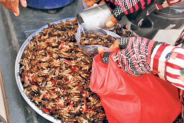 Răzvan Pascu, cel mai apreciat blogger de turism din România, ne-a dezvăluit experiențele inedite trăite în călătoriile sale: «Am băut sânge de şarpe în Vietnam»