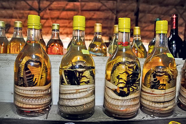 Răzvan Pascu, cel mai apreciat blogger de turism din România, ne-a dezvăluit experiențele inedite trăite în călătoriile sale: «Am băut sânge de şarpe în Vietnam»