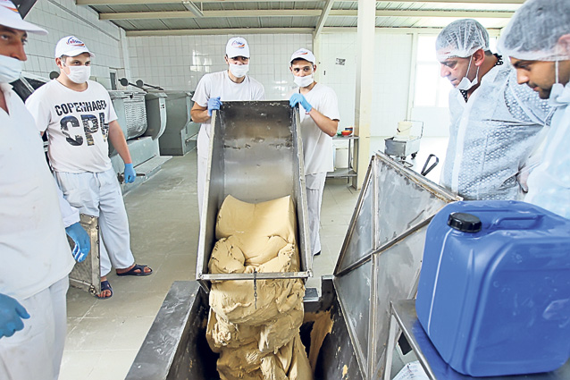 Aici se fac 50.000 kg de biscuiţi pe zi! Reporterii ziarului Libertatea au pătruns recent într-una din cele mai mari fabrici de produse de panificaţie din ţara noastră | FOTO