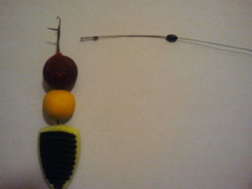 Cum faci rigul pentru crap 