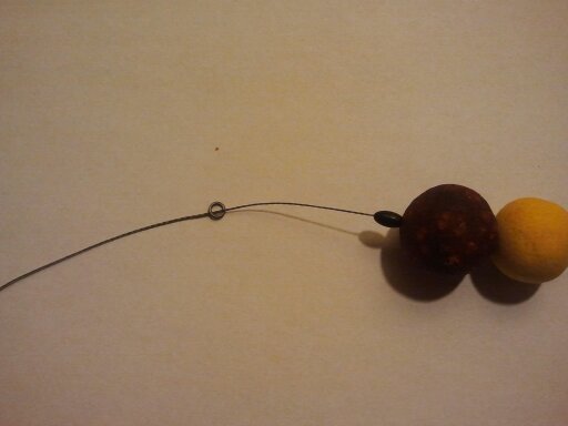 Cum faci rigul pentru crap 