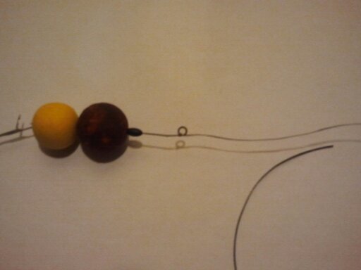 Cum faci rigul pentru crap 