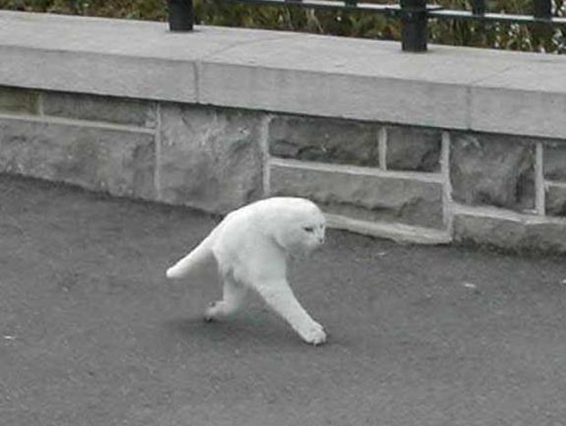 IMAGINEA MISTERIOASĂ care a făcut furori pe net! Ce s-a văzut pe Google Street View