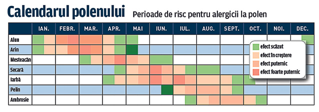 Eşti alergic la polen? Poate fi periculos când conduci maşina
