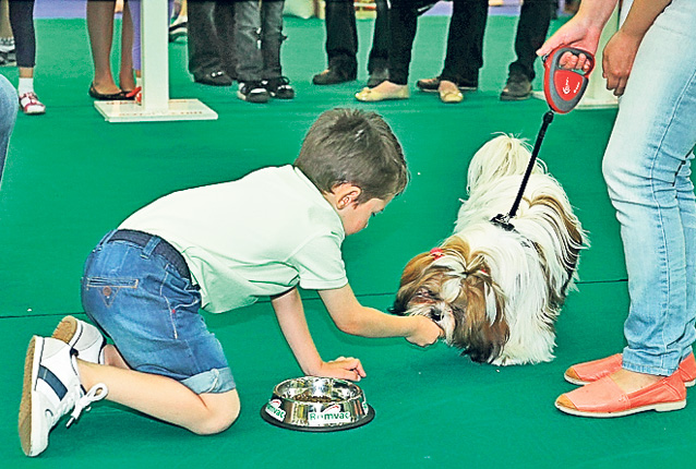 Invazia prichindeilor! Ieri, de ziua lor, copiii n-au ratat nici o activitate din cele pregătite pentru ei în toată ţara | FOTO