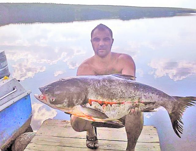 Are balta peşte! Dan Bittman a populat, în sfârşit, lacul Sulimanu cu crapi mari