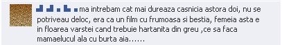 Elena Udrea, «single» și asediată de admiratori pe Facebook: «Casatorestete cu mine esti o dulce»