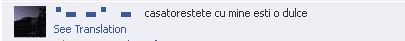 Elena Udrea, «single» și asediată de admiratori pe Facebook: «Casatorestete cu mine esti o dulce»