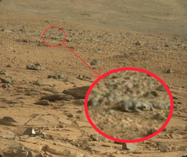 CREATURA descoperită într-o fotografie de pe Marte | INTRĂ SĂ VEZI DETALIUL INTERESANT